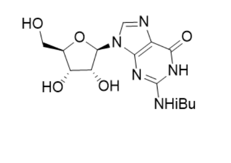 N2-异丁酰鸟苷,N2-Isobutyryl-guanosine
