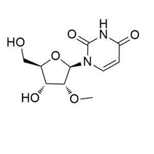 2'-甲氧基尿苷