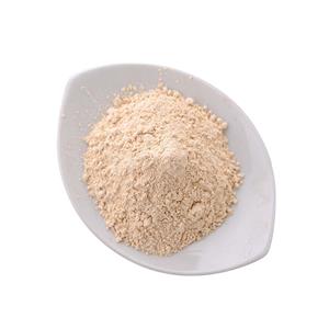 大蒜粉,10-Hydroxycamptothecin