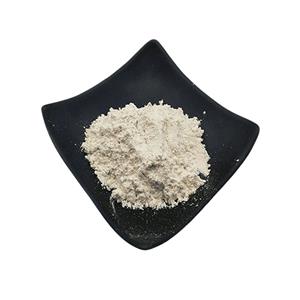 硫酸软骨素,CHONDROITIN SULFAT