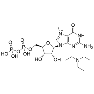 7-甲基鸟苷-5’-二磷酸三乙胺盐