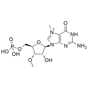 7-甲基-3’-O-甲基-5’-鸟苷单磷酸
