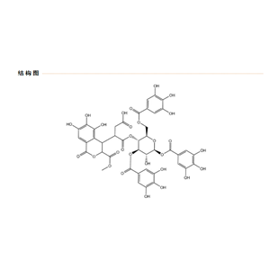 新訶黎勒鞣花酸甲酯,Methyl neochebulinate