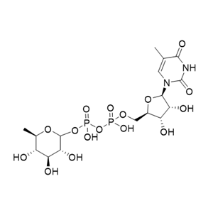 TDP-β-rhamnose