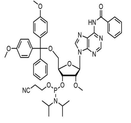 2'-OMe-A(Bz)亚磷酰胺单体,5'-O-DMT-2'-OMe-Bz-A  Phosphor amidite