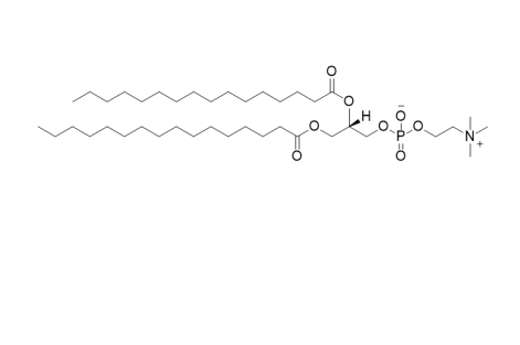 二棕榈酰磷脂酰胆碱(DPPC),1,2-dipalmitoyl-sn-glycero-3-phosphocholine
