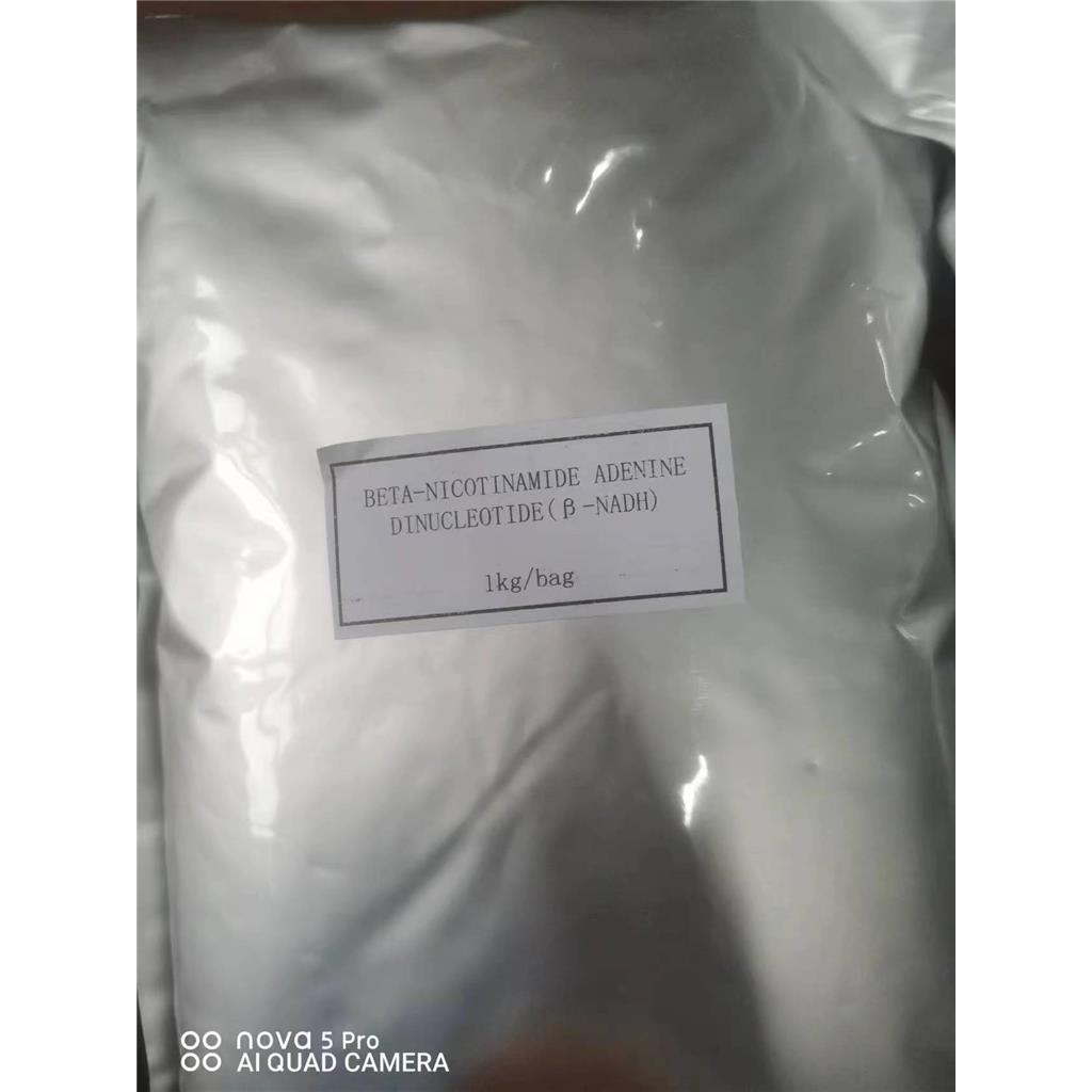 烟酰胺腺嘌呤二核苷酸（还原型）,Nicotinamide adenine dinucleotide