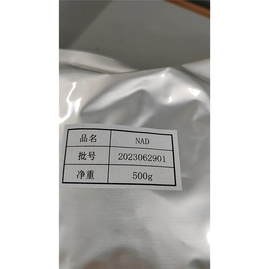 烟酰胺腺嘌呤二核苷酸,nicotinamide adenine dinucleotide