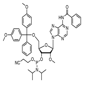 2'-OMe-A(Bz)亚磷酰胺单体 110782-31-5