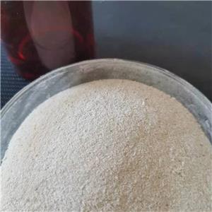 癸二酸二钠盐,SEBACIC ACID DISODIUM SALT