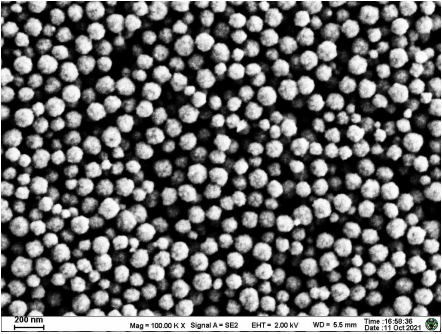 100 nm 葡聚糖磁珠,100 nm Dextran coated magbeads