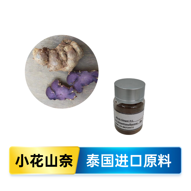 黑姜提取物,black ginger extract powder