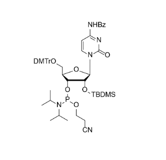 Bz-rC 亚磷酰胺单体,DMTr-2'-O-TBDMS-rC(Bz)-3'-CE -Phosphoramidite