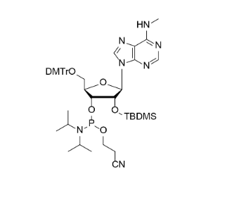 N6-Me-rA 亚磷酰胺单体,DMTr-2'-O-TBDMS-N6-Me-rA-3'-CE - Phosphoramidite