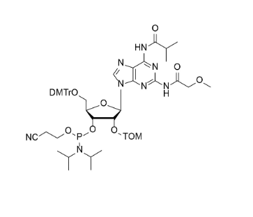 DMTr-2'-O-TOM-N2-MeOAc, N6-iBu-rA-3'-CE-Phosphoramidite,DMTr-2'-O-TOM-N2-MeOAc, N6-iBu-rA-3'-CE-Phosphoramidite