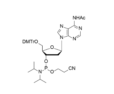 Ac-dA 亚磷酰胺单体,DMTr-dA(Ac)-3'-CE-Phosphoramidite