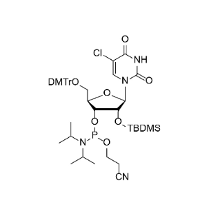 DMTr-2'-O-TBDMS-5-Cl-rU-3'-CE-Phosphoramidite,DMTr-2'-O-TBDMS-5-Cl-rU-3'-CE-Phosphoramidite