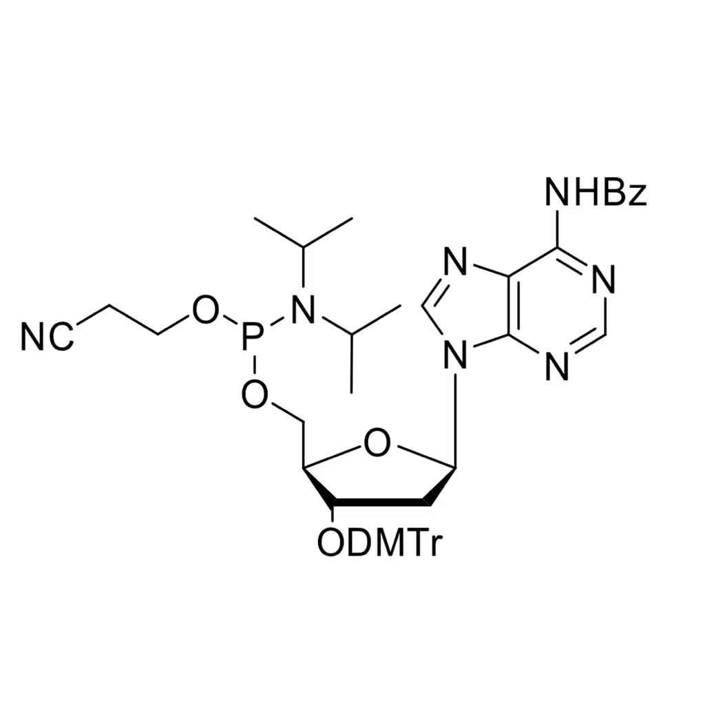 N-苯甲酰基-5'-O-[(二异丙基氨基)-(2-氰基乙氧基)氧磷基]-3'-O-(4,4'-二甲氧基三苯甲基)-2'-脱氧腺苷,(N6-BENZOYL)-5'-O-[(N,N-DIISOPROPYLAMINO)-(2-CYANOETHOXY)PHOSPHINYL]-3'-O-(4,4'-DIMETHOXYTRITYL)-2'-DEOXYADENOSINE