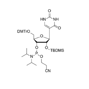 DMTr-2'-O-TBDMS-pseudoU-3'-CE-Phosphoramidite