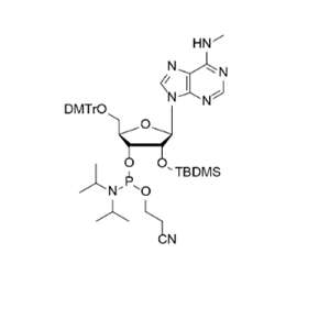 N6-Me-rA 亚磷酰胺单体,DMTr-2