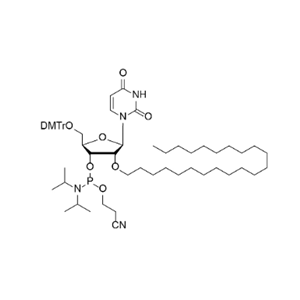 DMTr-2'-O-C22-rU-3'-CE-Phosphoramidite