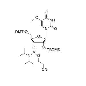 DMTr-2'-O-TBDMS-5-OMe-rU-3'-CE-Phosphoramidite