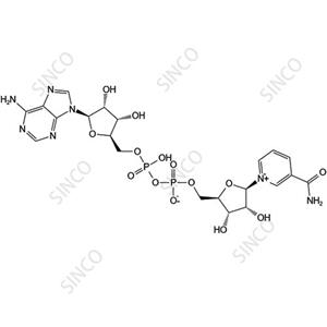 烟酰胺腺嘌呤二核苷酸,Nicotinamide Adenine Dinucleotide