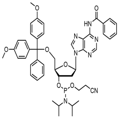 N6-苯甲酰基-5'-O-DMT-脱氧腺苷-3'-氰乙氧基亚磷酰胺,5'-O-DMT-N6-Bz-2'-dA Phosphor amidite