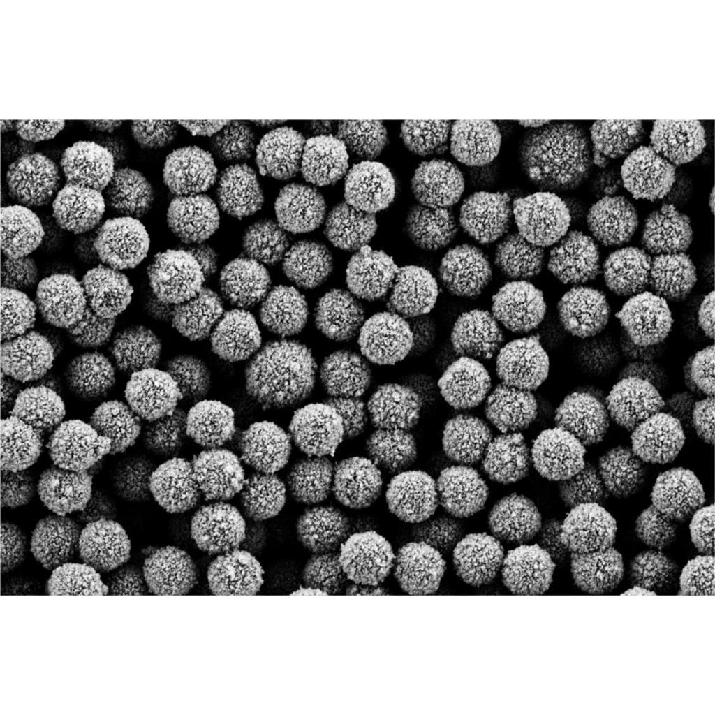 MagBeads? 1 μm 羧基磁珠,MagBeads? 1 μm Carboxyl Magnetic Beads