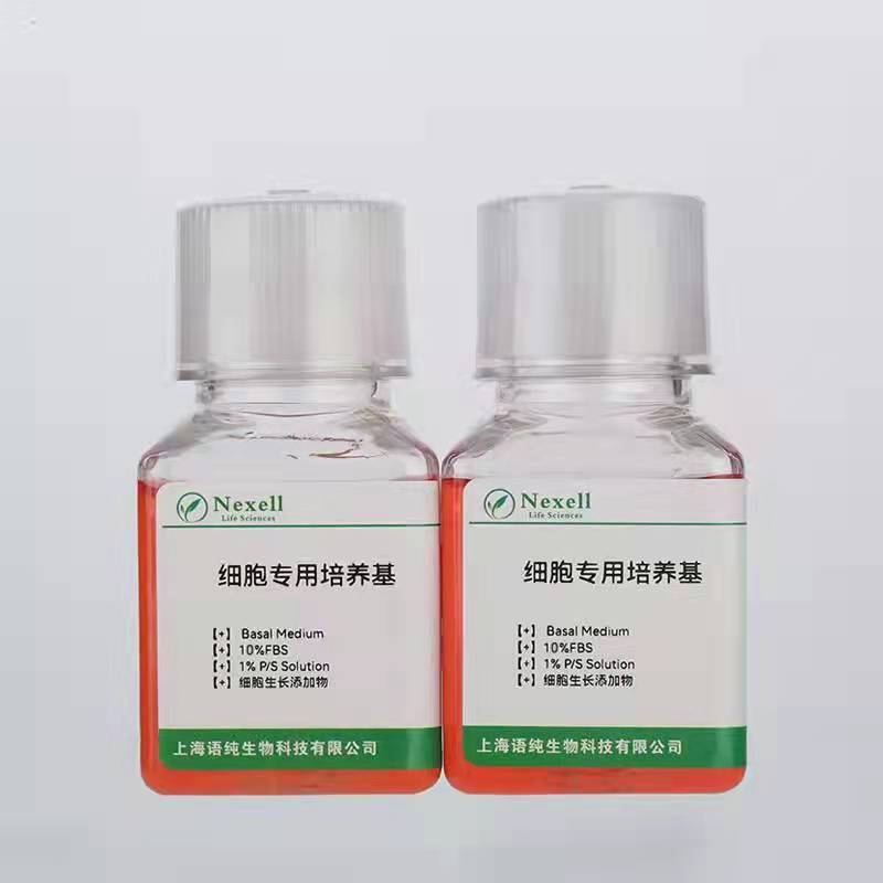 NU-DUL-1+LUC+RFP 人彌漫性組織細(xì)胞性淋巴瘤+LUC+RFP 產(chǎn)品貨號(hào)：BH1744,NU-DUL-1