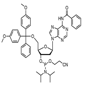 N6-苯甲酰基-5'-O-DMT-脱氧腺苷-3'-氰乙氧基亚磷酰胺 98796-53-3