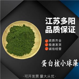 蛋白核小球藻 蛋白核小球藻粉 小球藻 食品级营养强化剂