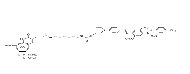 BHQ-1-dT 單體,BHQ-1-dT Amidite