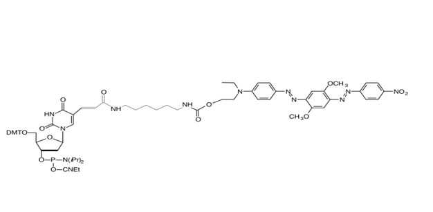 BHQ-2-dT 单体,BHQ-2-dT Amidite