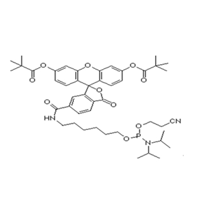 6-Fam-Amidite；5'-Fluorescein CE Phosphoramidite