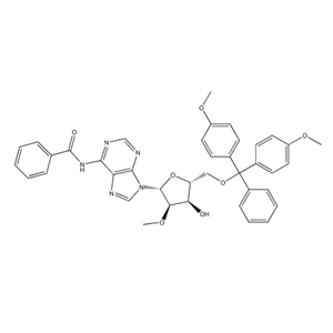 N-苄基-5-O-[双(4-甲氧基苯基)苯基甲基]-2-O-甲基腺苷