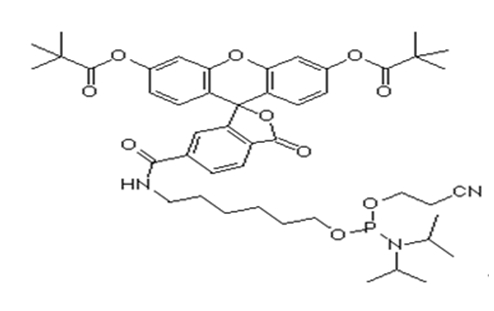 6-Fam 单体,6-Fam-Amidite;5'-Fluorescein CE Phosphoramidite