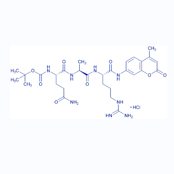 胰蛋白酶底物Boc-QAR-AMC,Boc-Gln-Ala-Arg-AMC