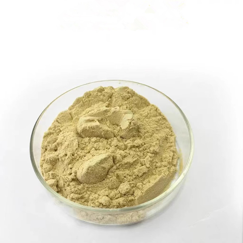 酵母浸粉,Yeast extract,powder