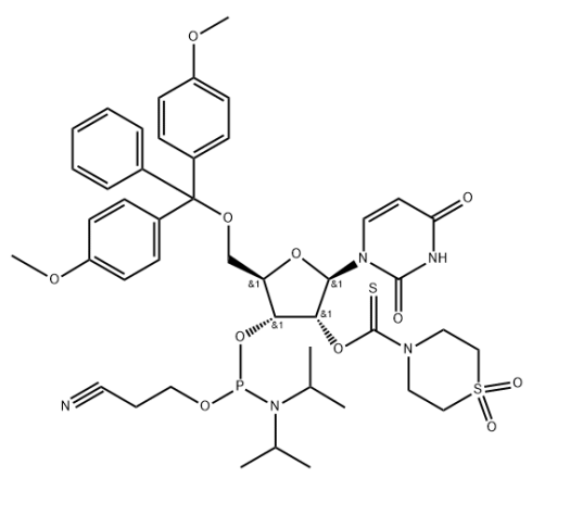 DMT-2'O-TC-rU Phosphoramidite configured for ABI,O5′-(4,4′-dimethoxytrityl)-O2′-(1,1-dioxothiomorpholine-4-thiocarbonyl)uridine O3′-(O-(2-cyanoethyl)-N,N-diisopropylphosphoramidite)