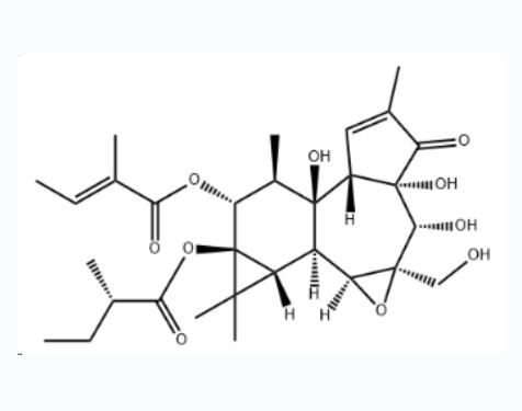 抗肿瘤活性分子