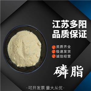 磷脂食品级磷脂粉 大豆卵磷脂中创 粉末卵磷脂食品添加剂