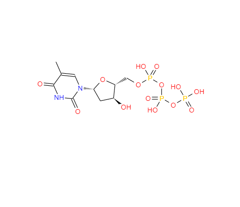 脱氧胸苷三磷酸,thymidine 5'-(tetrahydrogen triphosphate)