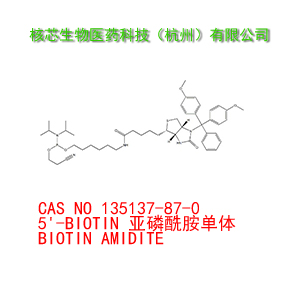5'-BIOTIN 亚磷酰胺单体,BIOTIN AMIDITE