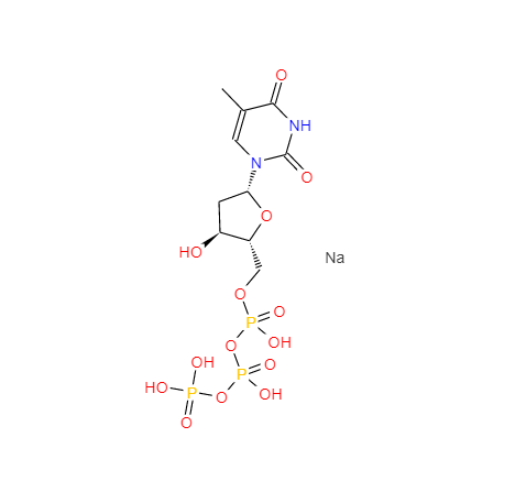 2'-脱氧胸苷 5'-三磷酸,Deoxythymidine triphosphate
