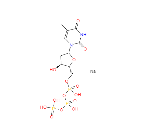 2'-脫氧胸苷 5'-三磷酸,Deoxythymidine triphosphate