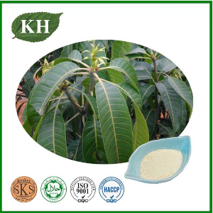 芒果叶提取物,Mango Leaf Extract