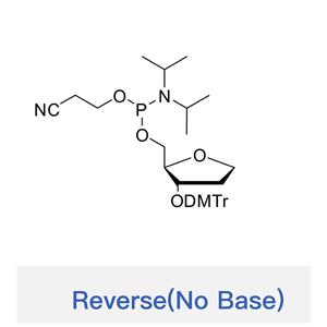 3′-DMT-5′-CE-1′,2′-dideoxyribose(Reverse,no base),3′-DMT-5′-CE-1′,2′-dideoxyribose(Reverse,no base)
