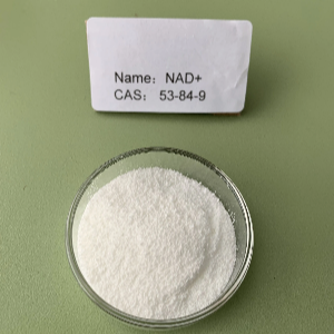 烟酰胺腺嘌呤二核苷酸,Beta-Nicotinamide Adenine Dinucleotide