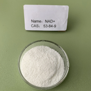 煙酰胺腺嘌呤二核苷酸,Beta-Nicotinamide Adenine Dinucleotide